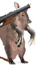 aardvark250