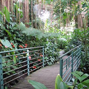 Atlanta Botanical Gardens - ZooChat
