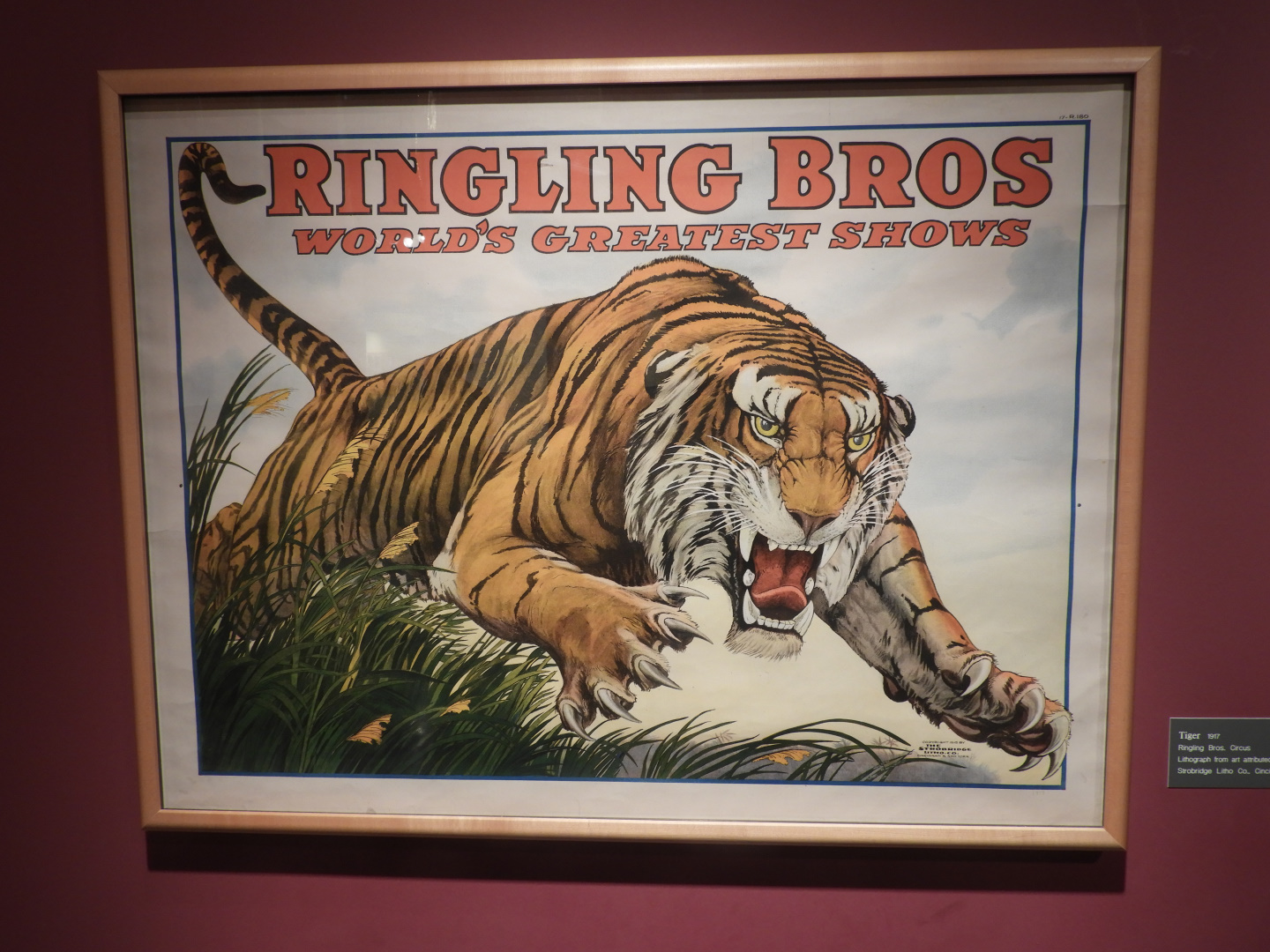 RINGLING BROS CIRCUS TIGER BUILDING SIGN DECAL 3X2  MORE SIZES AVAIL 