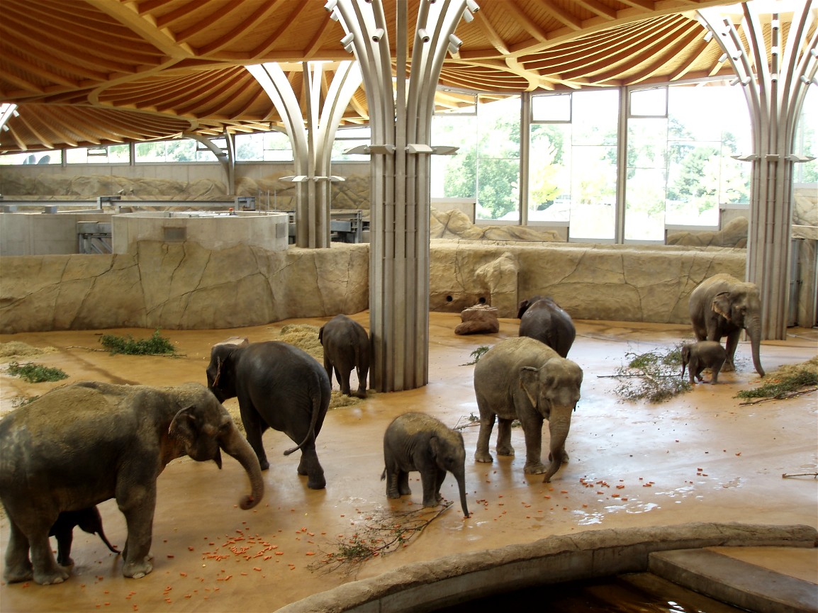 https://www.zoochat.com/community/media/cologne-zoo-elephant-park.20141/full