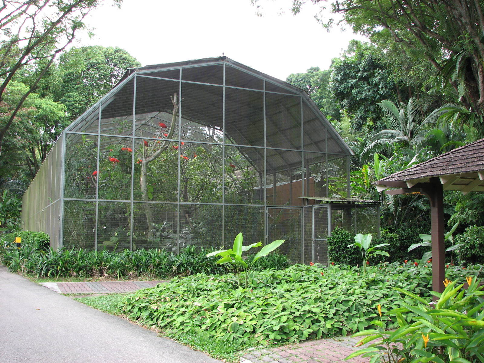 Image result for bird enclosure