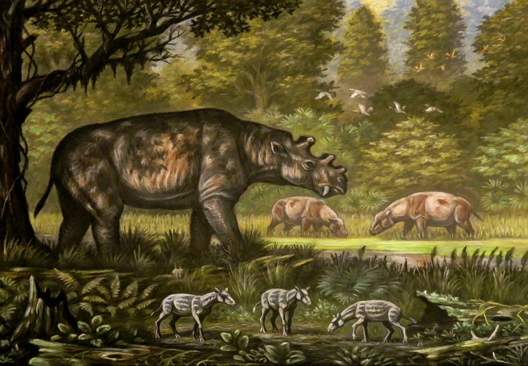 Hipporex's Guide to Interesting and Unique Prehistoric Fauna.